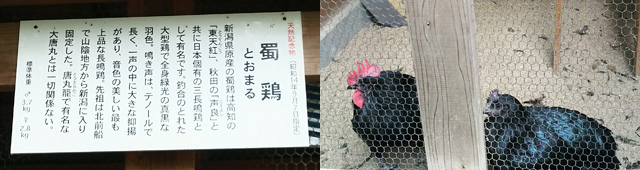 日本鶏舎